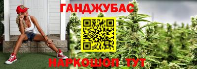 сатива Аргун