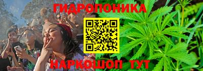 сатива Аргун