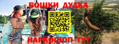 сатива Аргун