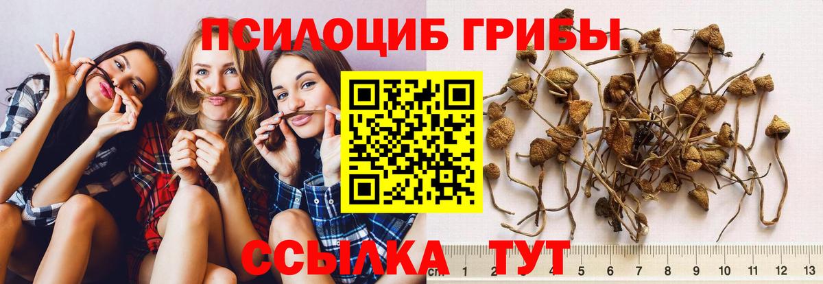 Псилоцибиновые грибы Magic Shrooms Вятские Поляны